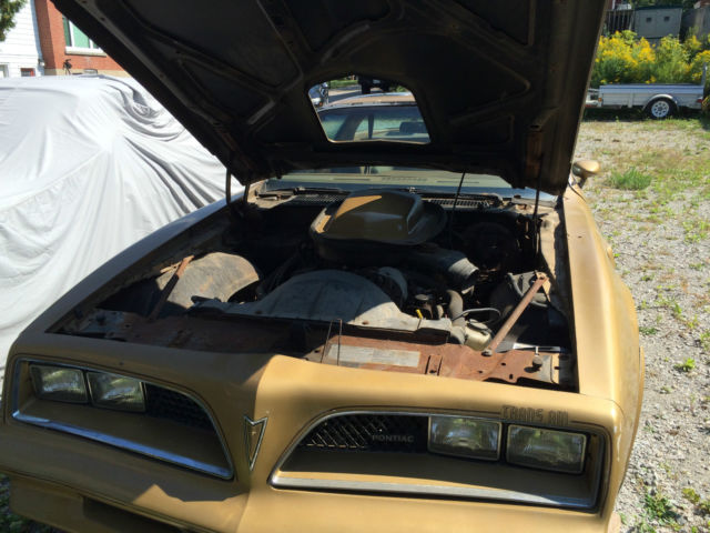 1978 Pontiac Trans Am 6.6 T/A Special Edition - photo 11