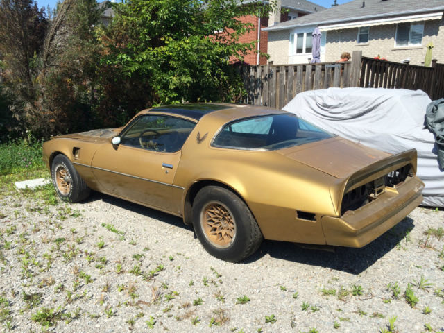 1978 Pontiac Trans Am 6.6 T/A Special Edition - photo 2