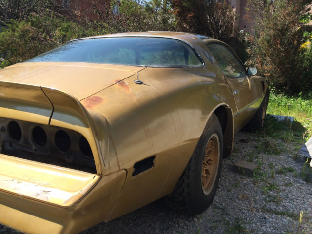 1978 Pontiac Trans Am 6.6 T/A Special Edition - photo 7