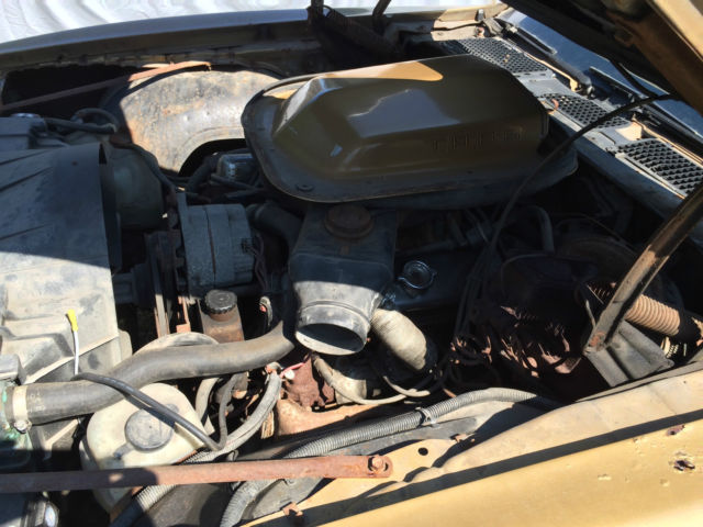 1978 Pontiac Trans Am 6.6 T/A Special Edition - photo 9
