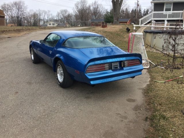 1978 Pontiac Trans Am Firebird - photo 4