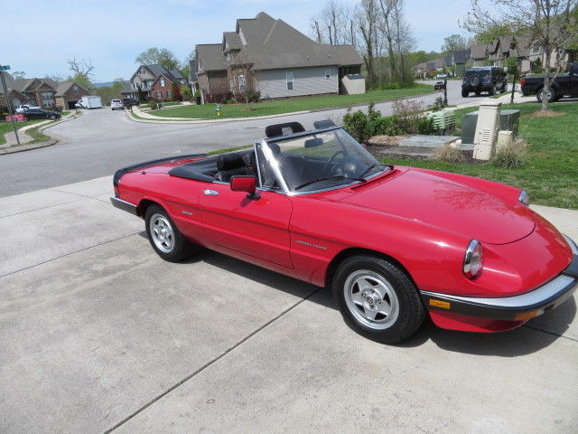 1988 Alfa Romeo Spider Spider veloce