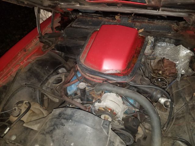 1979 Pontiac Trans Am - photo 6