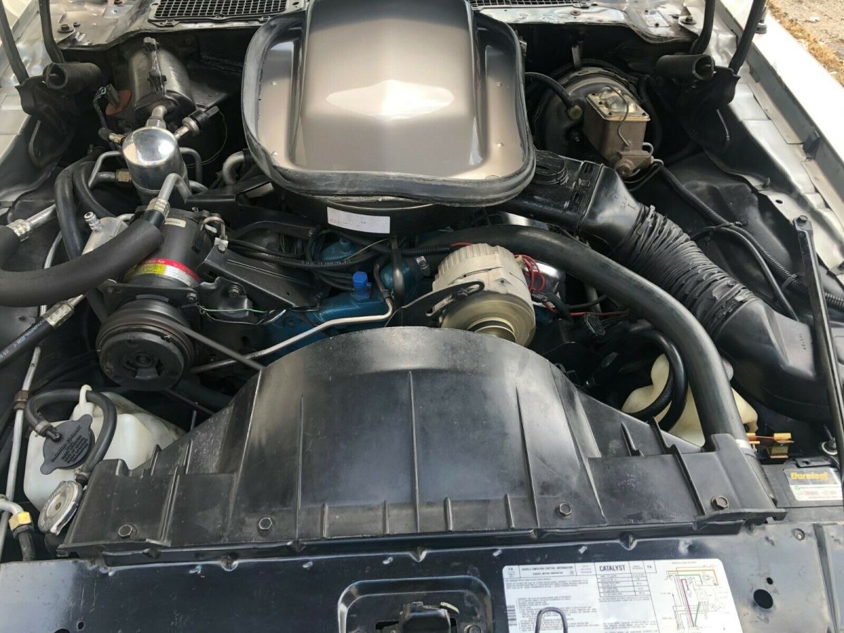 1979 Pontiac Trans Am - photo 11
