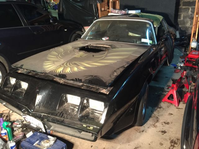 1979 Pontiac Trans Am Y86- Special Edition Bandit