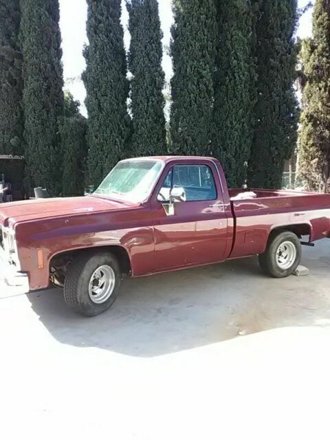 1979 Chevrolet C-10 Scottsdale - photo 2