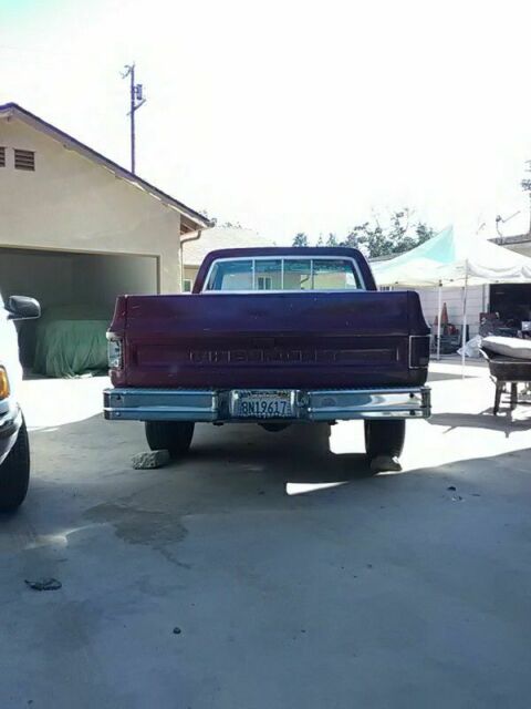 1979 Chevrolet C-10 Scottsdale - photo 4