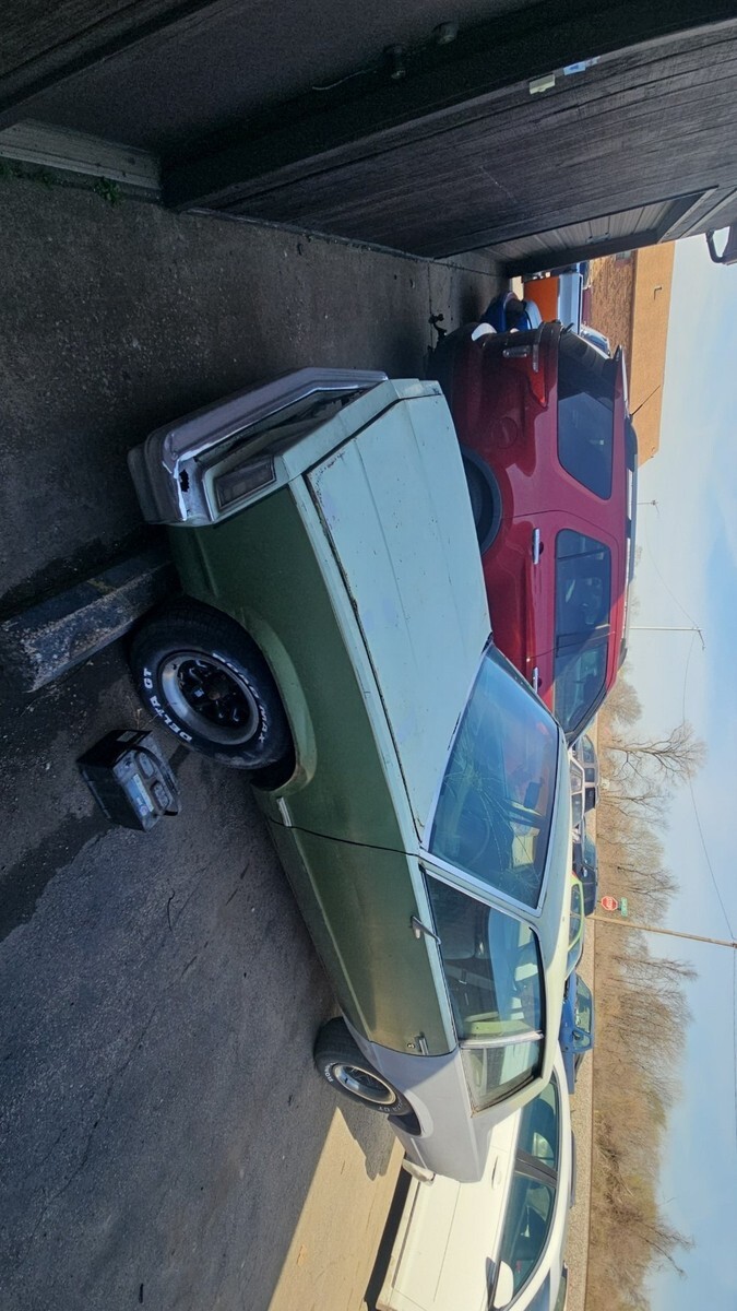 1979 Chevrolet Malibu - photo 4