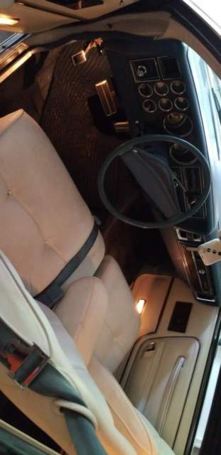 1979 Chrysler LeBaron Phoenix - photo 9