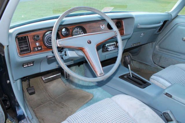1979 Pontiac Firebird - photo 11