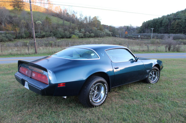 1979 Pontiac Firebird - photo 3