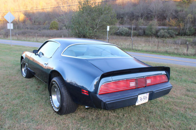 1979 Pontiac Firebird - photo 4