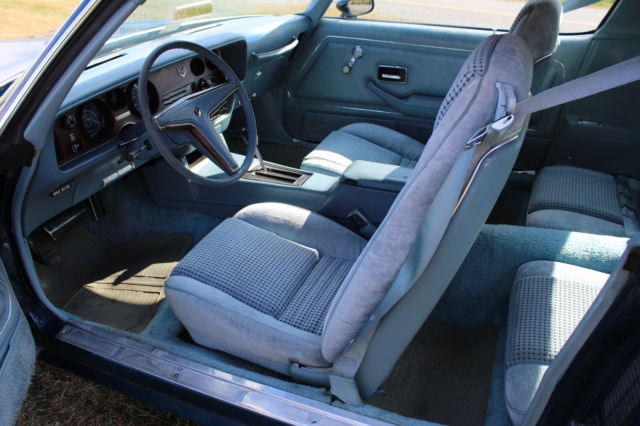 1979 Pontiac Firebird - photo 8