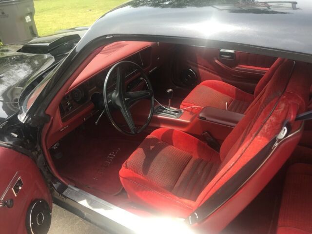 1979 Pontiac Firebird - photo 6