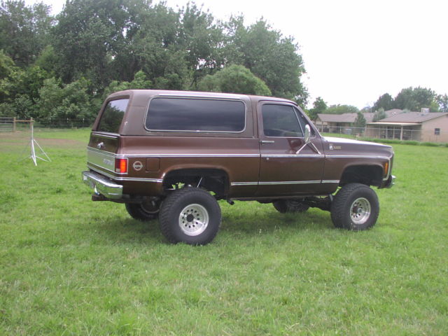 1979 Chevrolet Blazer - photo 7