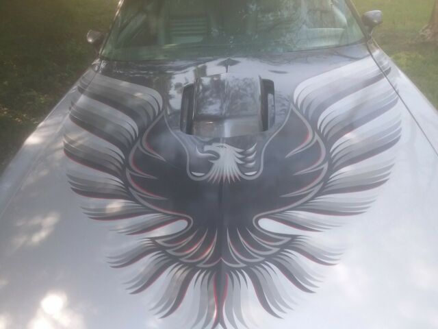 1979 Pontiac Trans Am - photo 3