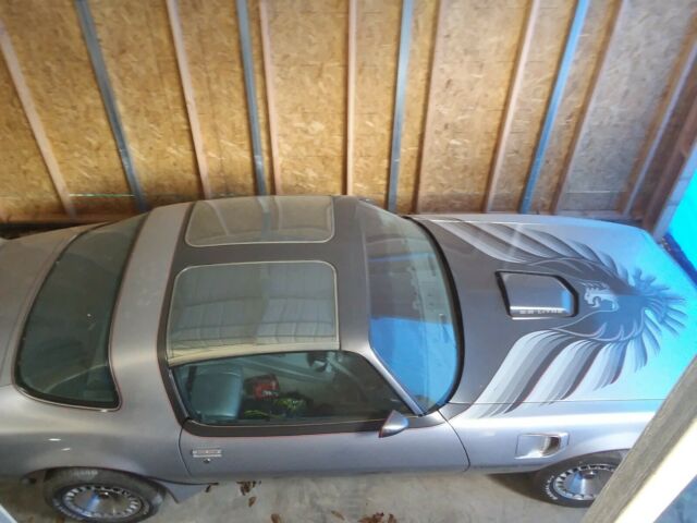 1979 Pontiac Trans Am - photo 6