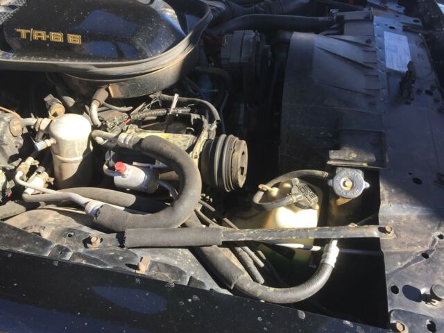 1979 Pontiac Trans Am Gold - photo 6