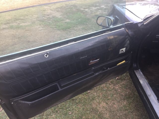 1979 Pontiac Trans Am Firebird - photo 5