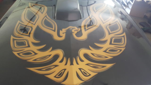 1979 Pontiac Trans Am - photo 2