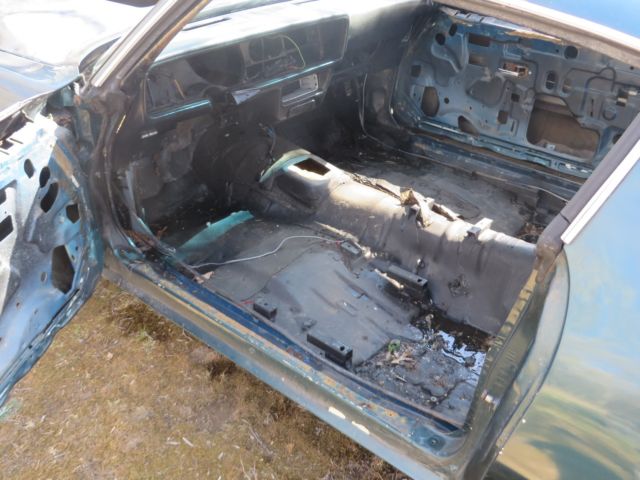 1979 Pontiac Trans Am - photo 11