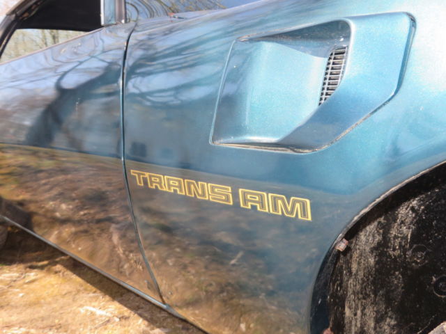 1979 Pontiac Trans Am - photo 2