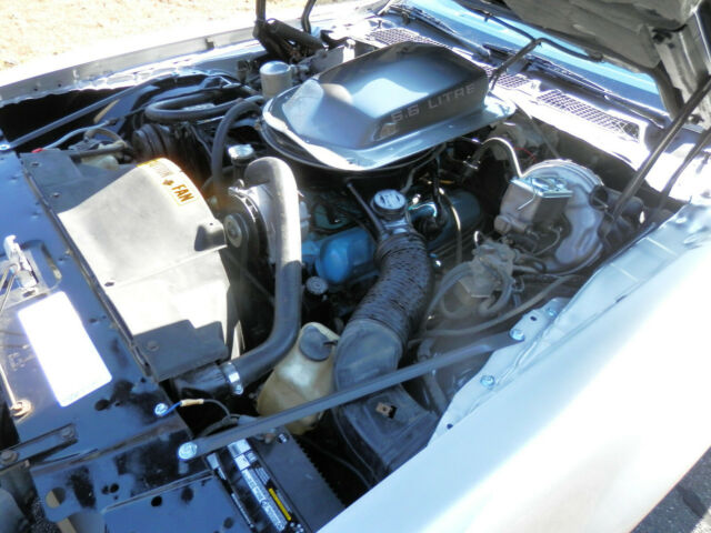1979 Pontiac Trans Am TA - photo 8