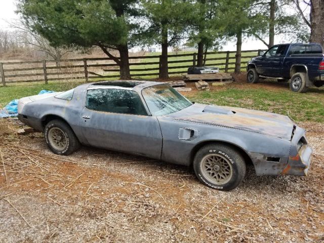 1979 Pontiac Trans Am SE special edition