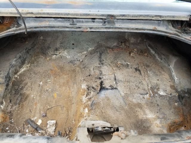 1979 Pontiac Trans Am SE special edition - photo 10