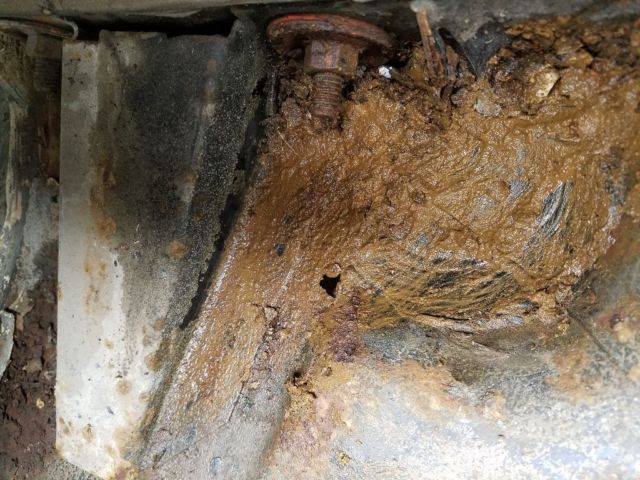 1979 Pontiac Trans Am SE special edition - photo 11