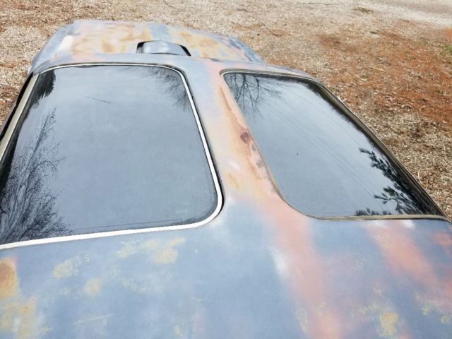 1979 Pontiac Trans Am SE special edition - photo 3