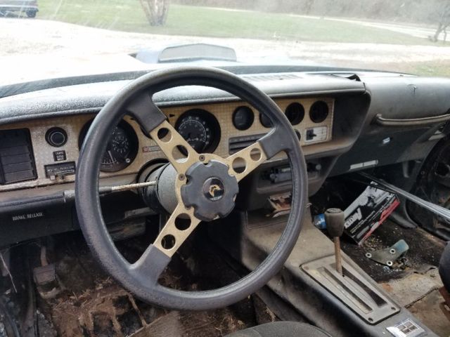 1979 Pontiac Trans Am SE special edition - photo 5