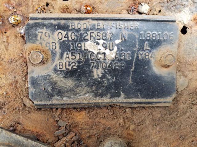 1979 Pontiac Trans Am SE special edition - photo 7