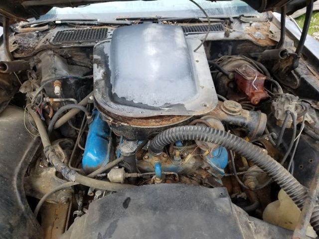 1979 Pontiac Trans Am SE special edition - photo 9