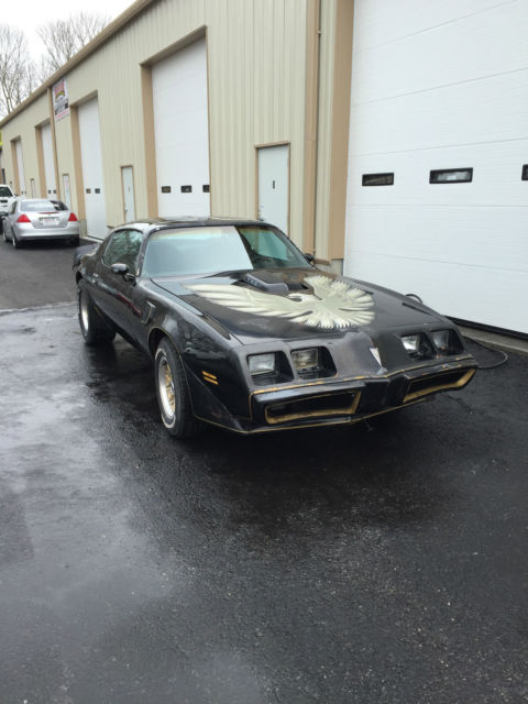 79 TRANS AM Y84 RARE 301 CAR 1979 Pontiac Trans Am