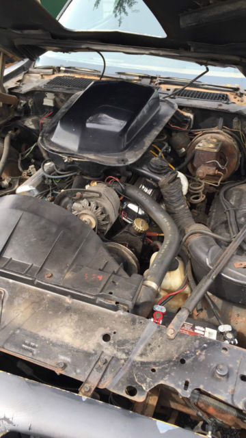 1979 Pontiac Trans Am - photo 3