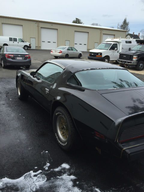 1979 Pontiac Trans Am - photo 5