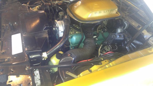 1979 Pontiac Trans Am WS-6 - photo 13