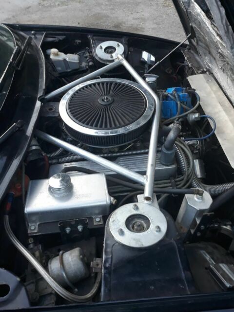 1979 Triumph Other - photo 13