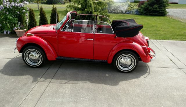 1979 Volkswagen Beetle - Classic Epilogue Edition - photo 2