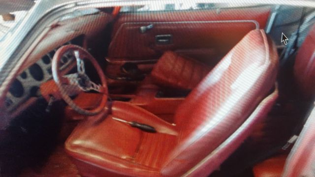 1979 Pontiac Trans Am - photo 2