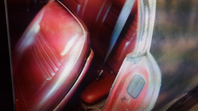 1979 Pontiac Trans Am - photo 3