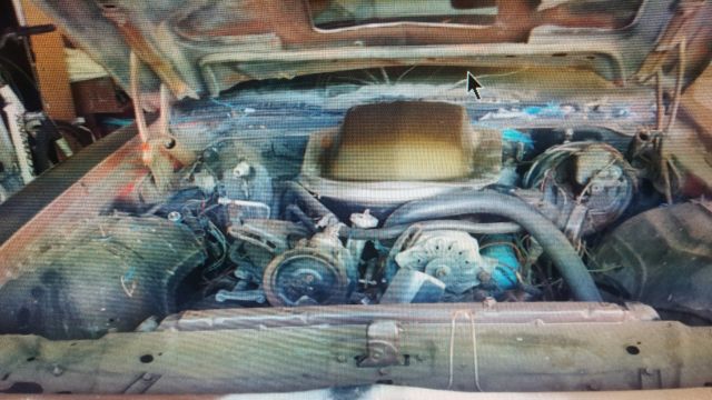 1979 Pontiac Trans Am - photo 5