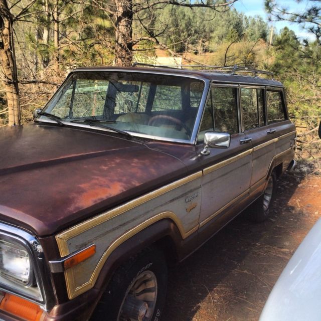 80 Jeep Wagoneer 1980 Jeep Wagoneer