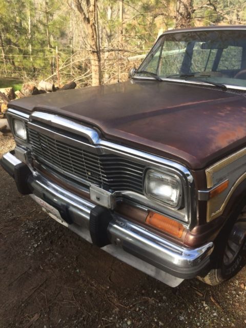 1980 Jeep Wagoneer - photo 2