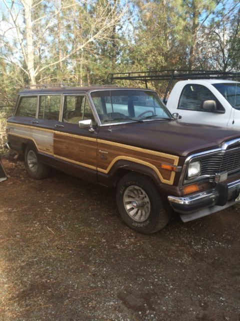 1980 Jeep Wagoneer - photo 3