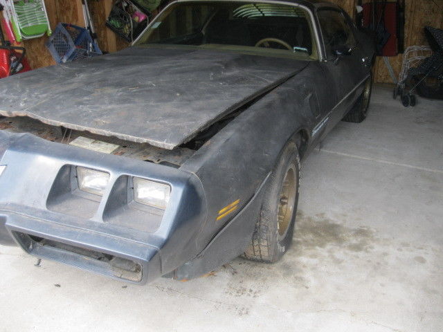 1980 Pontiac Trans Am - photo 2