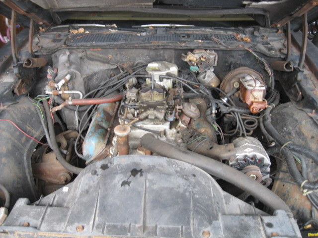 1980 Pontiac Trans Am - photo 5