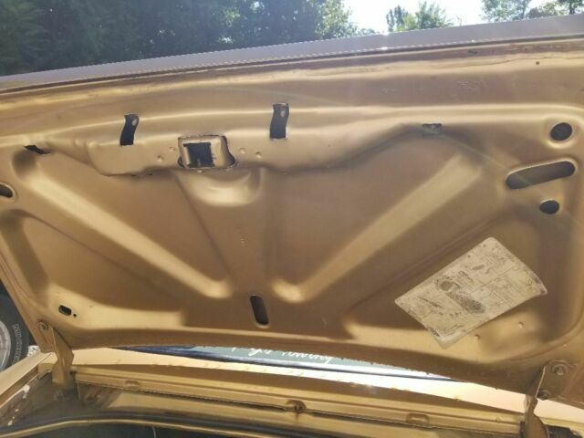 1980 Pontiac Trans Am - photo 10