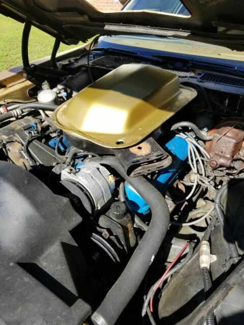 1980 Pontiac Trans Am - photo 11